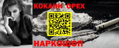 стаф Будённовск