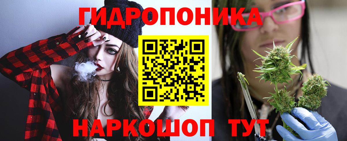 Сертолово  Бошки марихуана сатива  Шишки марихуана конопля  Шишки марихуана AK-47  Вход с VPN 